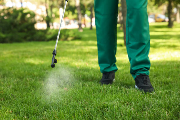Trusted Gallatin, TN Pest Control Experts