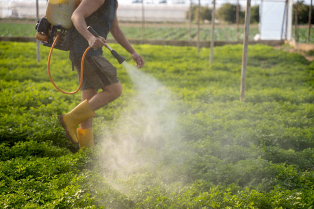 Best Pest Inspection Near Me  in Gallatin, TN
