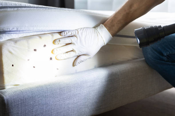 Best Affordable Pest Control Services  in Gallatin, TN